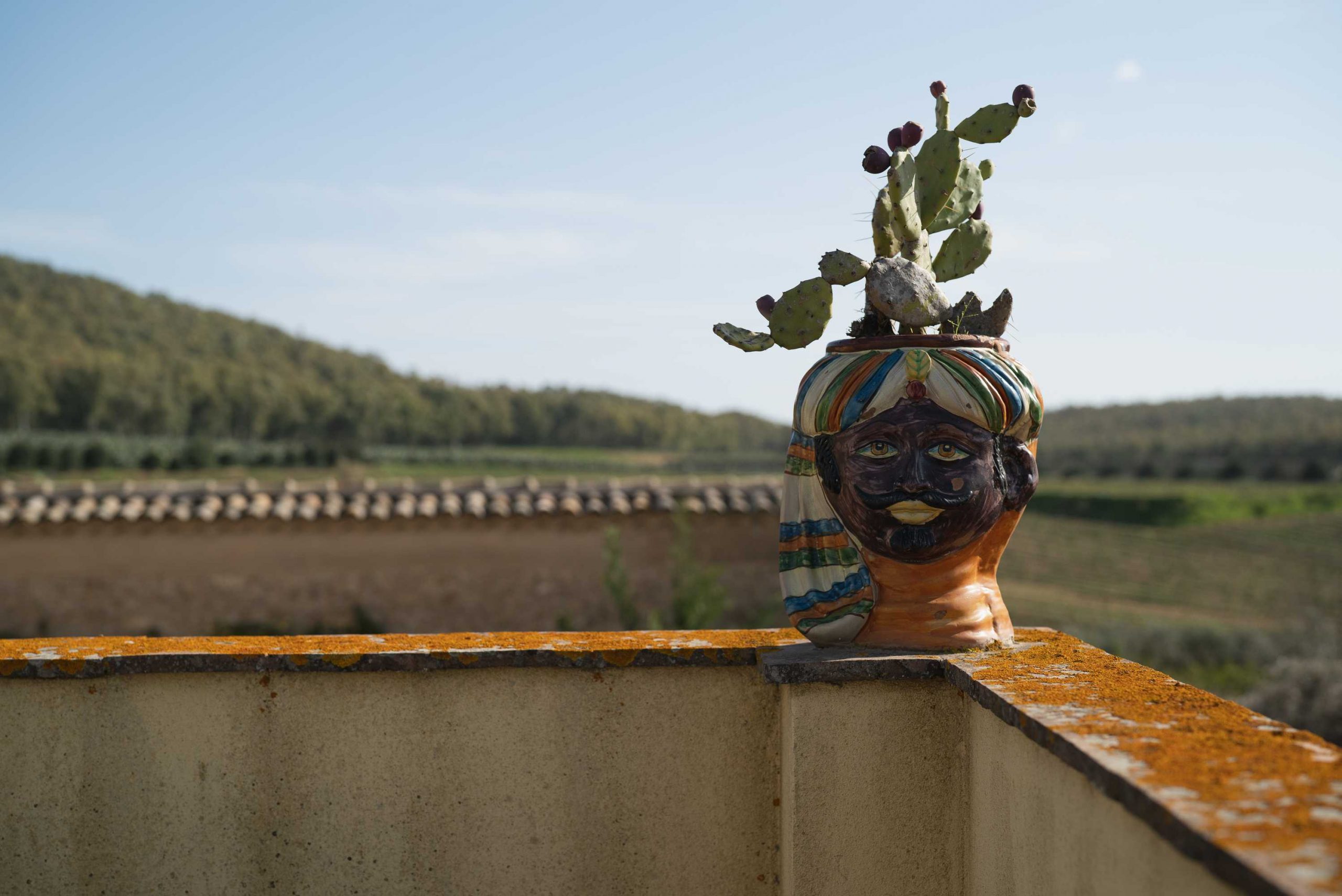 venues with vineyards